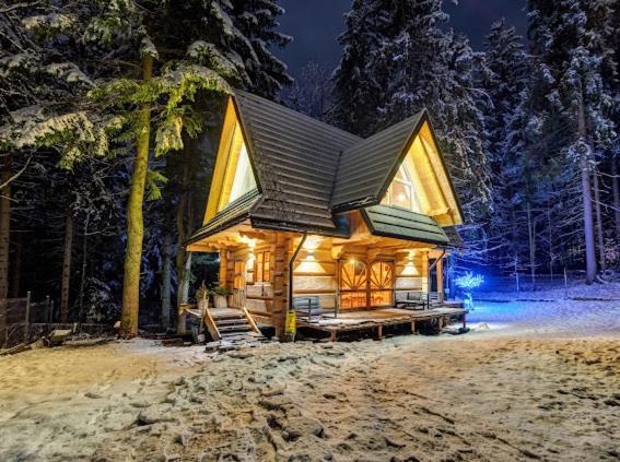 Chata Pod Nosalem - Domek Z Jacuzzi Z Bala W Zakopanym Zakopane Exteriér fotografie